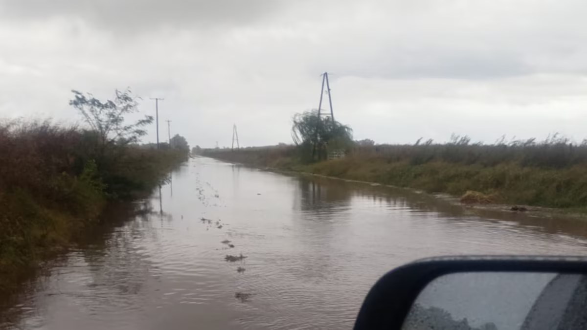 Inundaciones retrasan la cosecha en el oeste bonaerense